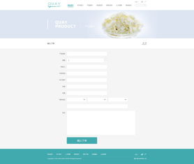 企业网页设计 打造卓越在线形象的关键要素与策略